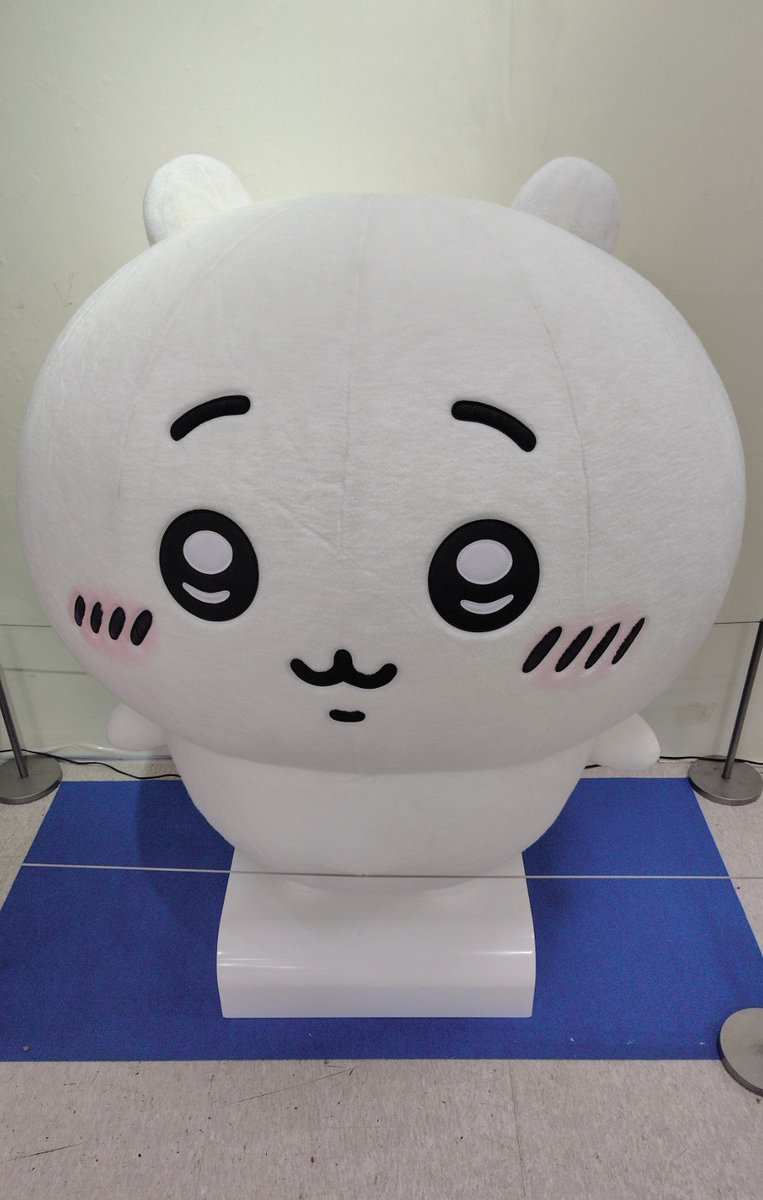 amane_wlc's tweet photo. 宇都宮のポップアップストア、わかってたけど当たり前にほぼ枯れており🥲！
展示かわいかったからいいんだ…… https://t.co/jlDG4KjbBx