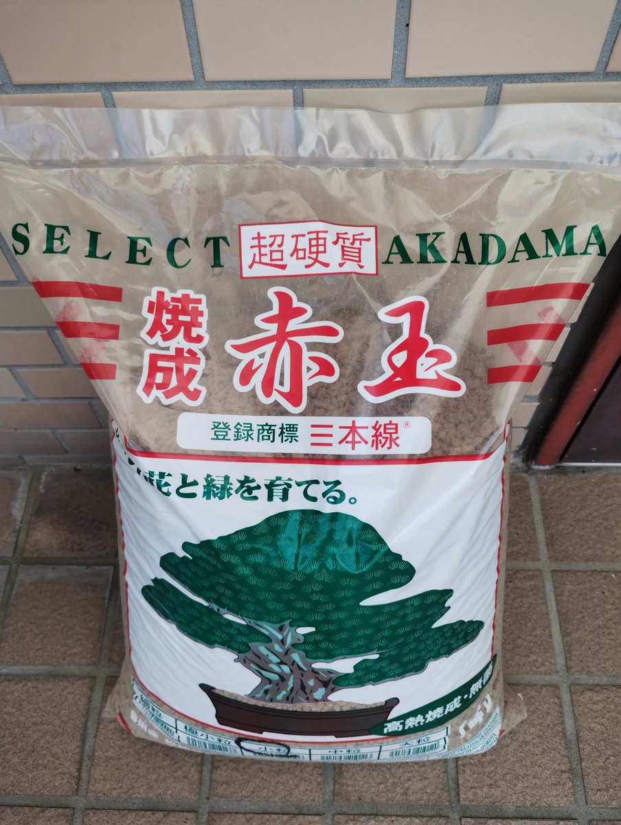 Shin_Koto2nd's tweet photo. 日光砂の相棒 https://t.co/TPBZi4jtVg
