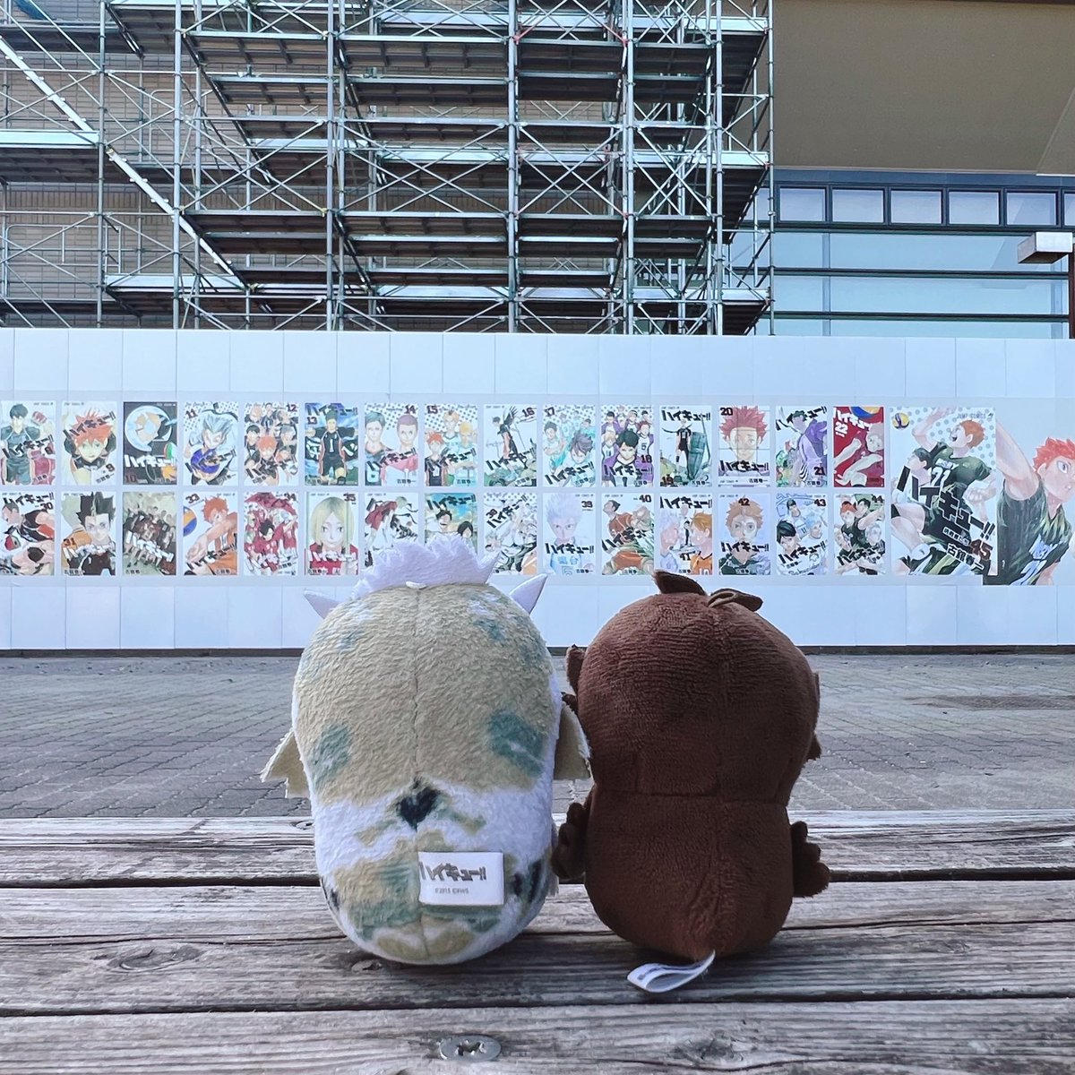 pollo_laakso's tweet photo. もっと来ればよかったな… https://t.co/yd9spHFiR5