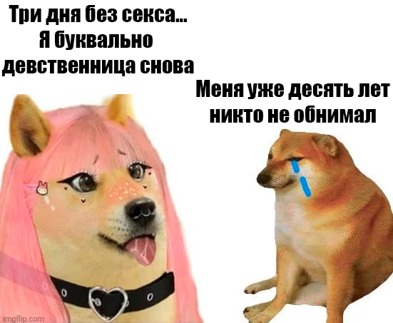 celomudr's tweet photo. https://t.co/x1JeDGZdO2