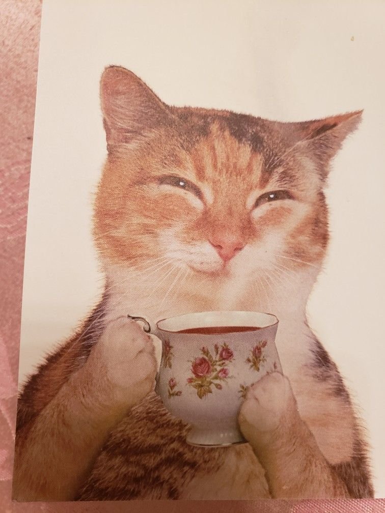 Coldoriss's tweet photo. Delightful image. https://t.co/9uBZNKx6Ts