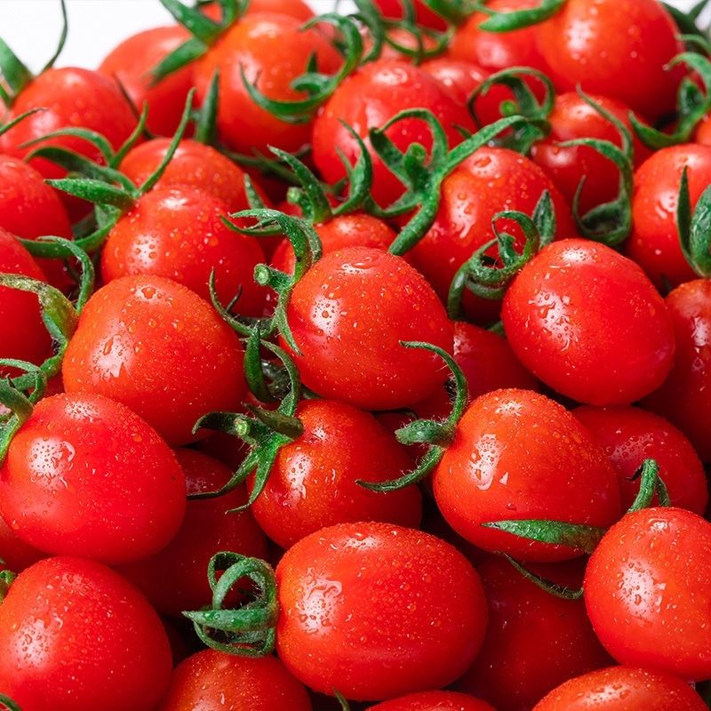 _672775446187's tweet photo. Trying the new organic cherry tomatoes from the local farm—bursting with sweetness, zero bitterness, perfect for quick salads or snacks ！ https://t.co/mcfHjbDKPz