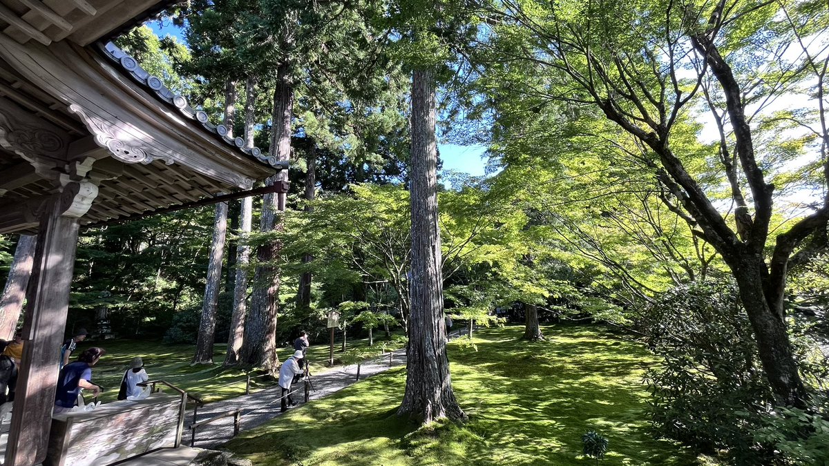 NFC873's tweet photo. 三千院、お庭は素敵だけど聞こえる言語は日本語以外😅まったりできないのが残念😢 https://t.co/786ykkAMw6