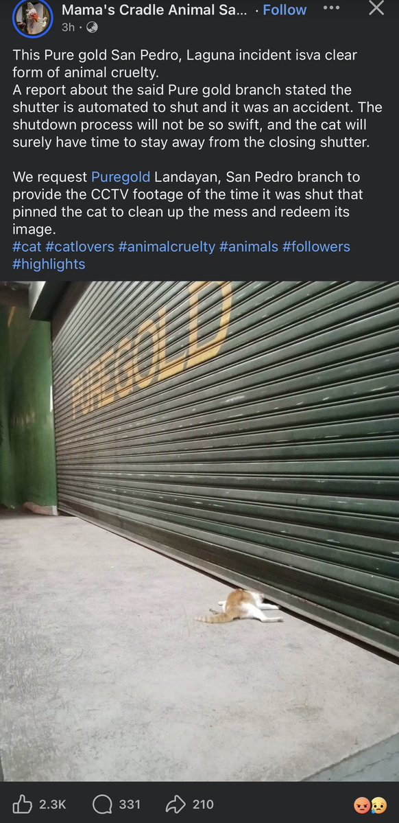 thequeenanima's tweet photo. Trigger Warning : Animal Cruelty.

Mula sa pag trato sa mga staff , hayop talaga ng puregold. https://t.co/xIyc2IadJd