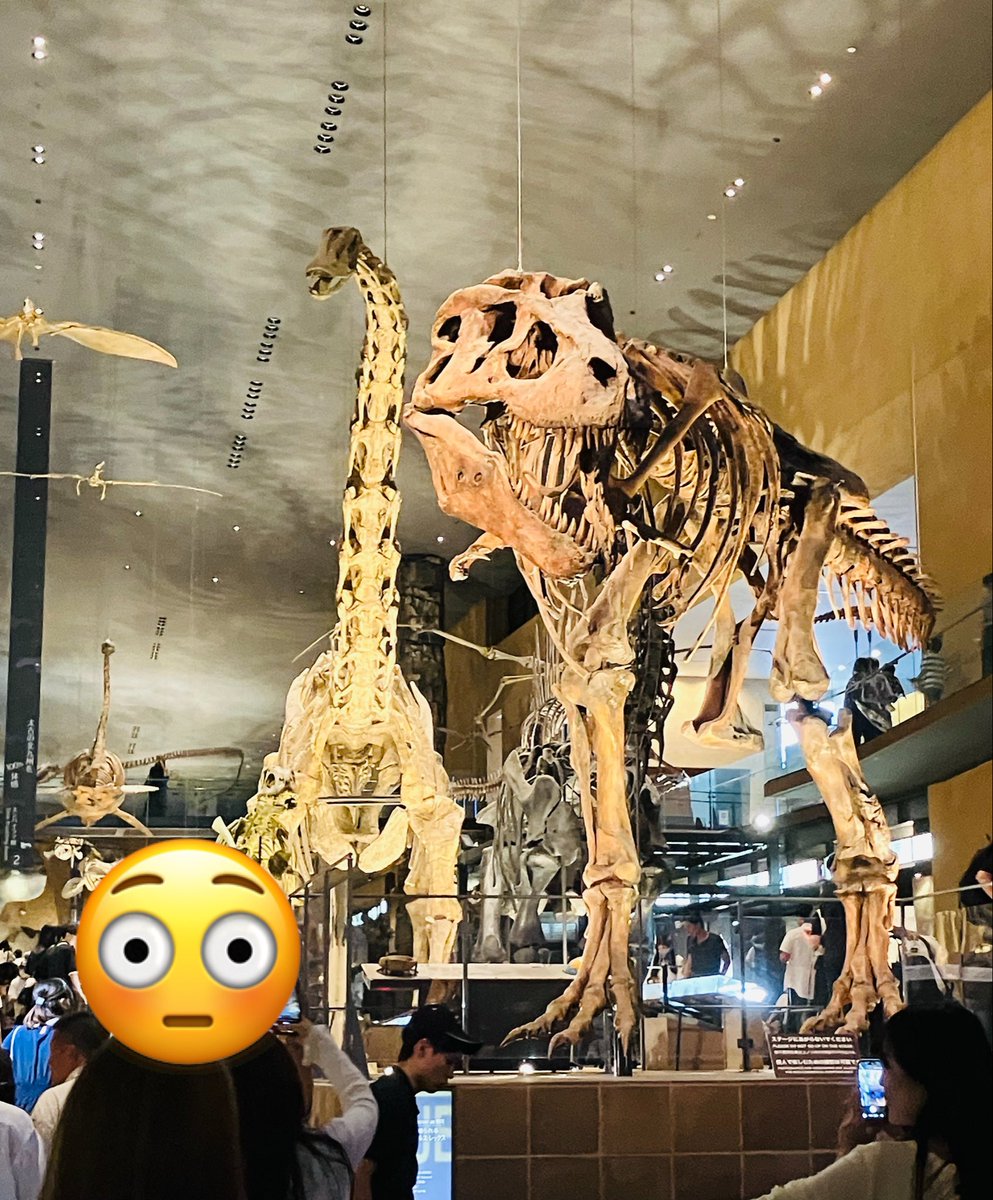 Bababoo_810's tweet photo. いのちのたび博物館に来ました！！息子氏は恐竜より石に興味あるみたいだなァ…＼(^o^)／ https://t.co/KWKCzTP6WW