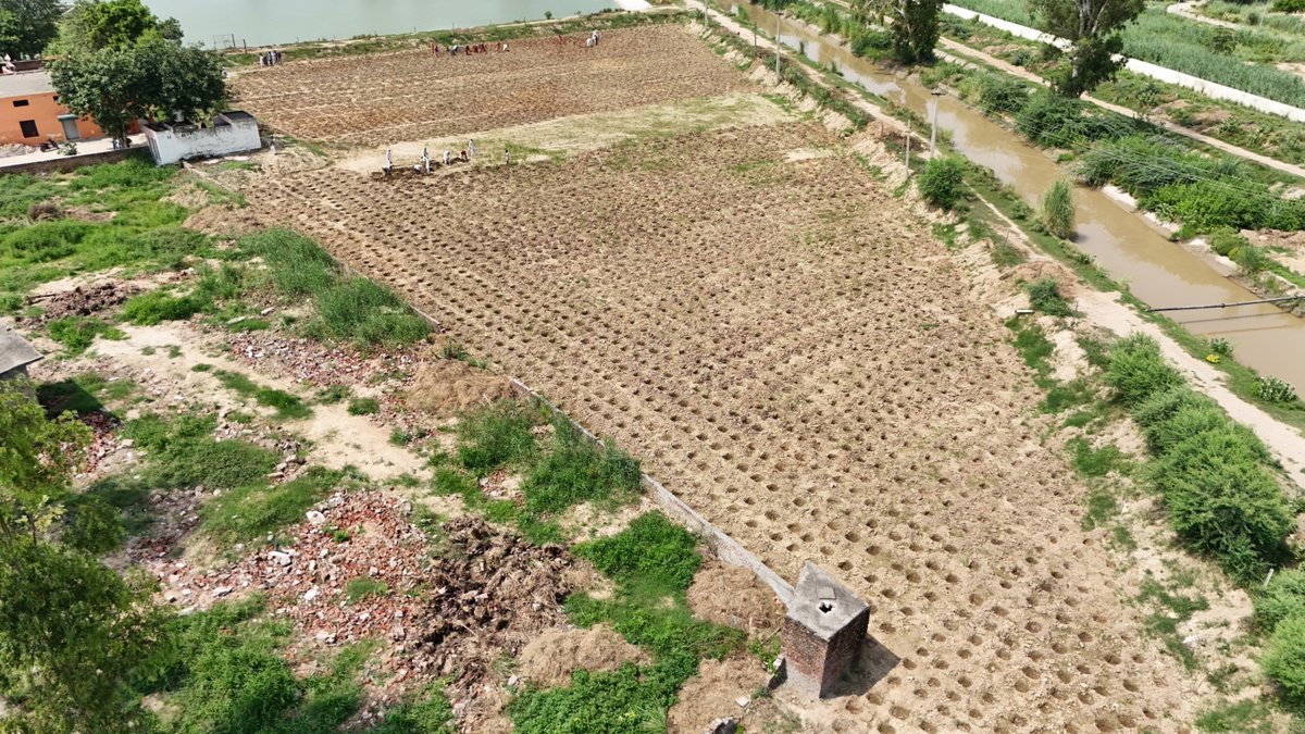 MoRD_GoI's tweet photo. A Step Towards a Greener Future

A Miyawaki Forest is being developed at Dabra Gram Panchayat, Hisar District, #Haryana under VB- G RAM G, with around 10,000 indigenous saplings being planted.

This initiative will create a dense, diverse, and sustainable green ecosystem that enhances biodiversity, improves air quality, supports groundwater recharge, and strengthens climate resilience for future generations.

#VBGRAMG #ViksitBharat_GRAMG #MoRD #RuralEmployment #GRAMG #125days_RozgarKiNayiGuarantee #125daysGuarantee_G_RAM_G #ViksitBharat_G_RAM_G #SchemesofRD #VB_GRAMG