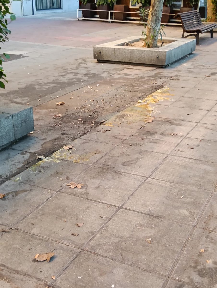 TaniaRO79's tweet photo. Ayer por la tarde, por fin, quitaron la caseta que quedaba en el paseo de Zorrilla de la Feria de Día. Así ha quedado. Es una cerdada y huele que apesta, @AyuntamientoVLL https://t.co/udmCwR2rmV