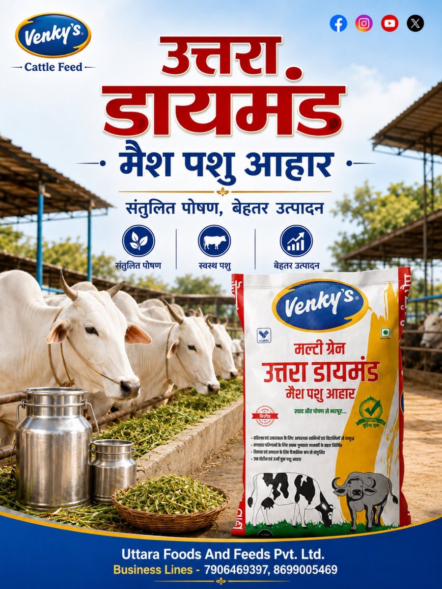 VenkyFeed's tweet photo. कई अनाजों का पोषण और संतुलित आहार का भरोसा। Venky’s Multi Grain Uttara Diamond Mash पशु के बेहतर स्वास्थ्य और उत्पादन में सहयोग करता है। 🌾🐄

📞 7906469397, 8699005469

#venkys #venkysindia #uttarafoodsandfeeds #venkyscattlefeed #cattlefeed https://t.co/ZSXWfbmvAq