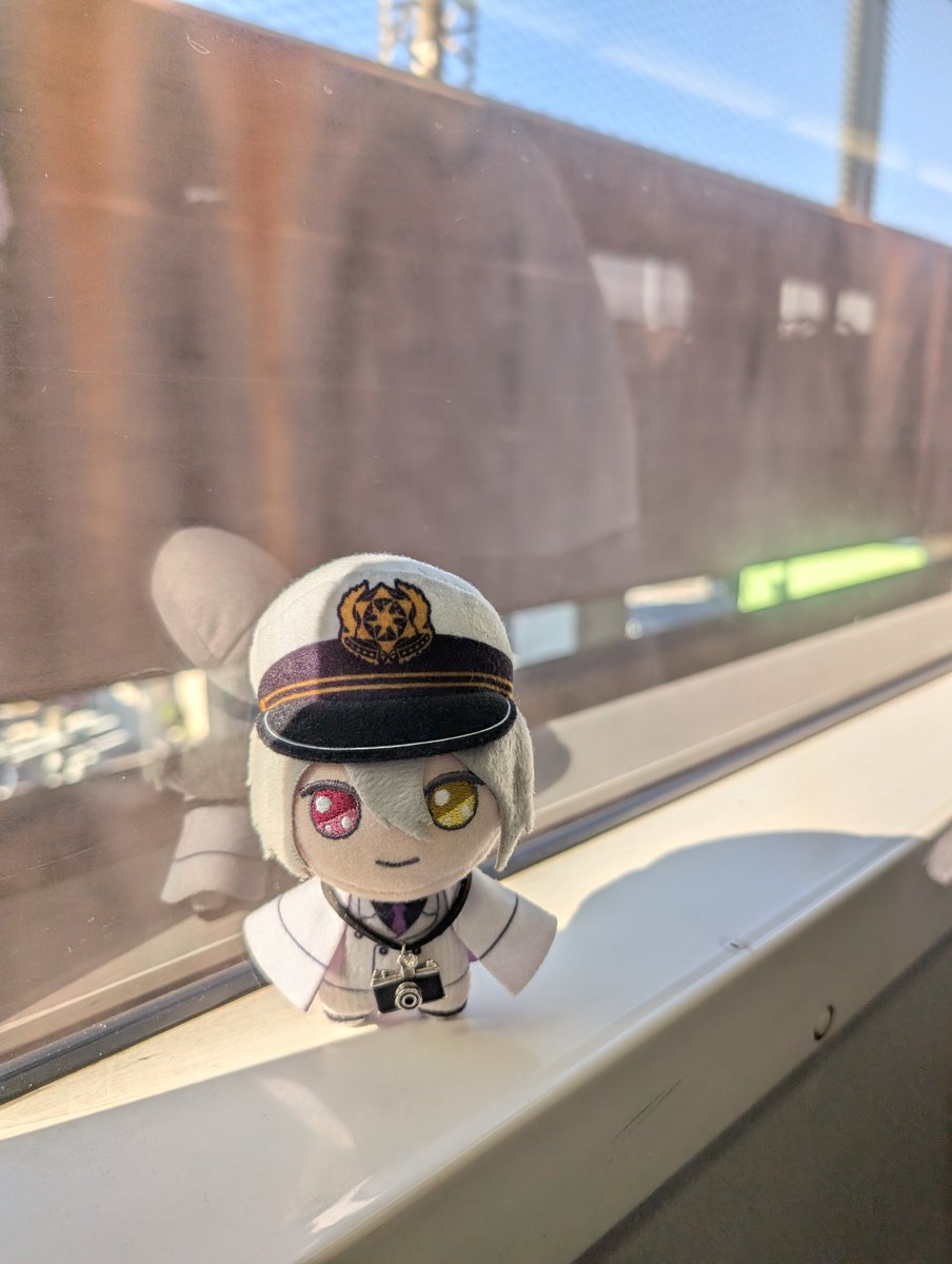 raqia_mhyk's tweet photo. 💼ごとん、ごとん……
おでかけ、楽しかった☺️
お家に帰るまでがおでかけだよ！

#まほやく_ぬい https://t.co/Pd2U3uTm9F