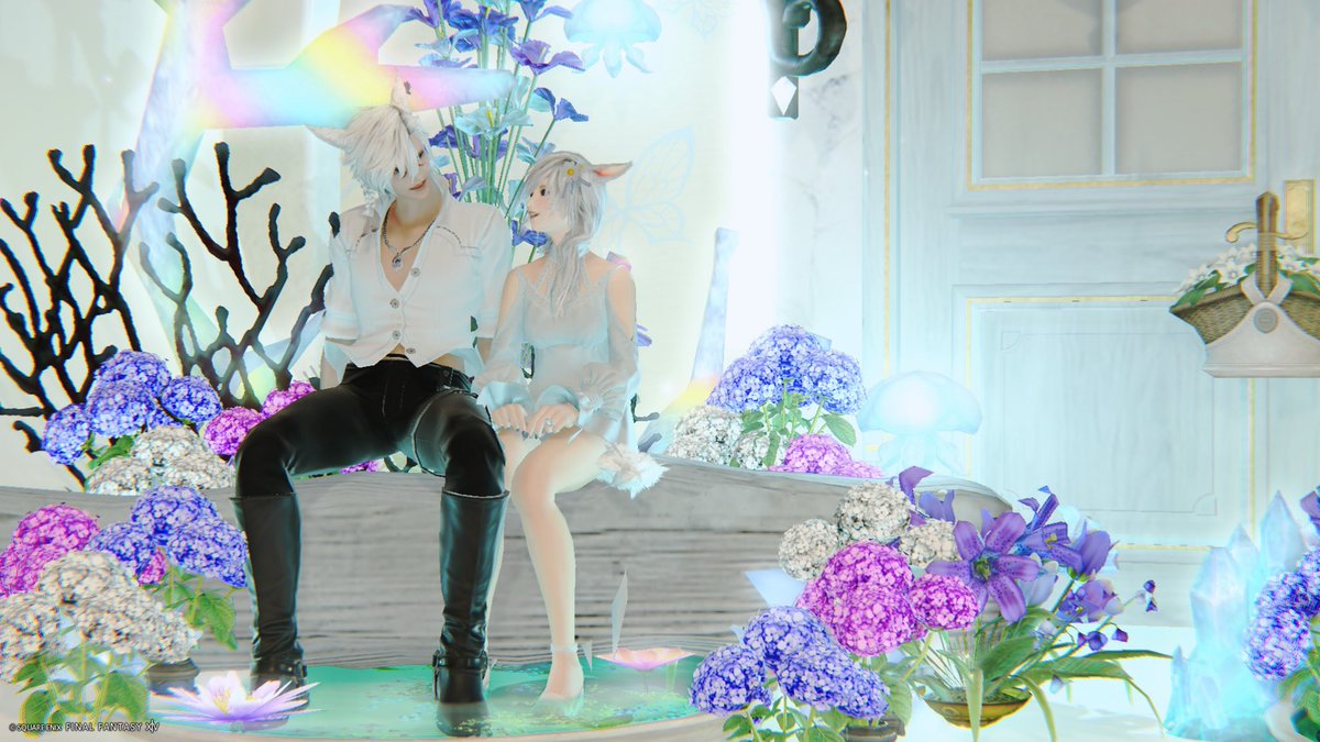 LunaFF14R's tweet photo. 寝る15分前にꕤ.｡
いつも付き合ってくれてありがとうっ

 #FF14  #FF14SS  #FFXIV #cham_studio https://t.co/31VzSbMPiP