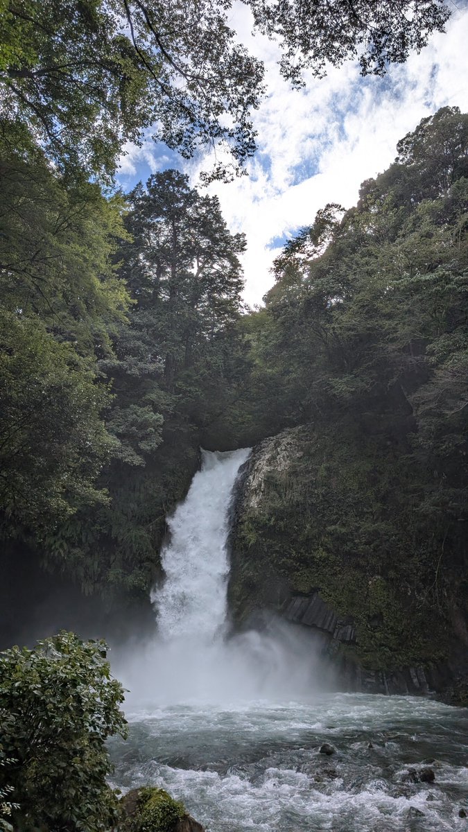MAYAHFF7R1's tweet photo. 今日の旅でかなり心が洗われた気がする
浄蓮の滝はマイナスイオンたっぷりすぎだったし
天城越えも最高だった https://t.co/gzQvqQlMMO