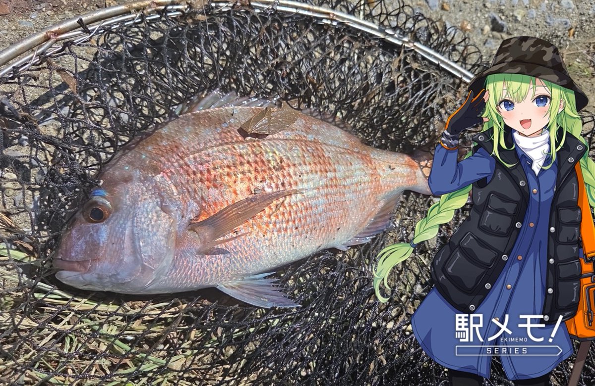 A_heart26's tweet photo. 本日は釣り日和🎣
知多半島の美浜フィッシングパークさんにてタイ釣り挑戦
坊主は免れ無事に1匹は確保〜✨

スタッフさんがずっとアドバイス兼魚のいるところを教えてくれて初心者にも優しいです☺️
わんちゃんにねこちゃんも居るのでそこもすばら👏 https://t.co/B5k8MNagKH