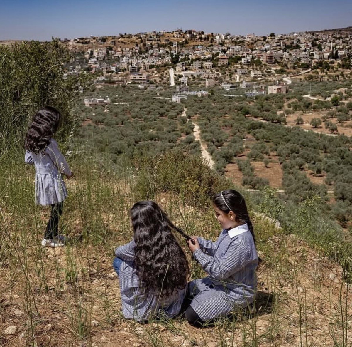 aseelswaid9's tweet photo. West Bank, Palestine 2024 https://t.co/HAfsa9bCCp