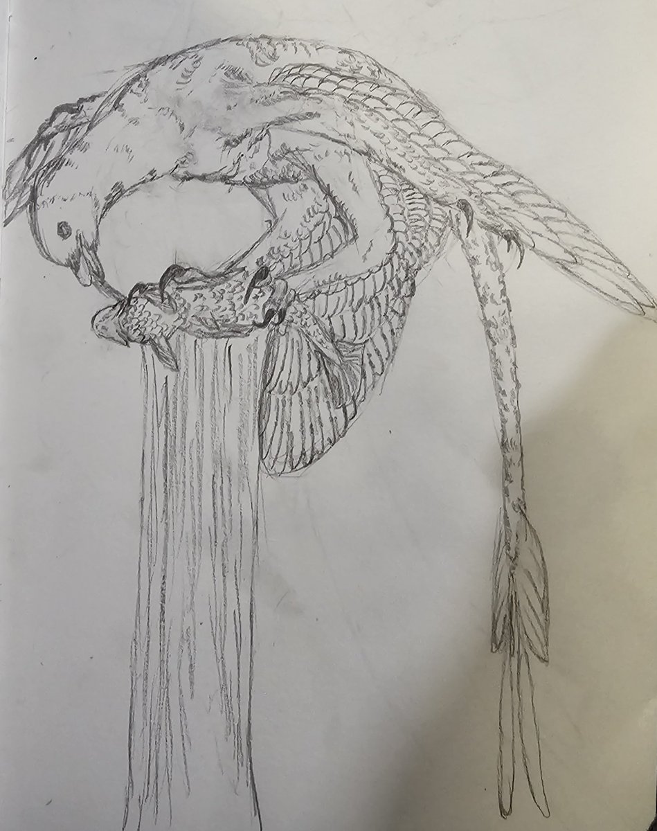 dirt21761789's tweet photo. Microraptor!!

Never been the best at drawing this adorable little critter, despite how accurately we know it's appearance.

The second picture was a pain in the ass to make, I been trying to draw this pose for years, but it always looks shit. This is the best I got it https://t.co/WeyOrOPKPX