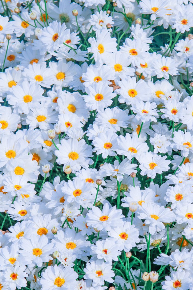 66___boc's tweet photo. この世界は美しいって
あなたもその世界の一部なんだって
何度だって、伝える為に。 https://t.co/7syykdxQUJ