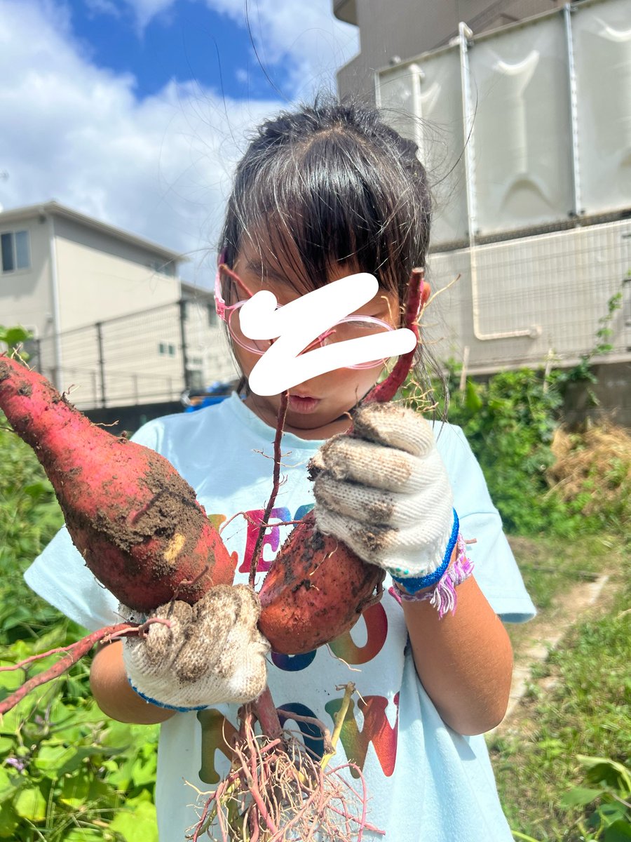 Acchan__s2's tweet photo. LIVEもファンミも終わってしまったけど、まだまだ全然余韻に浸ってる😌💞💭
頭の中でずっとパリピ、怪獣の花唄、リライトがずーっと流れてる🎶
そんな中、芋掘って🍠、仕事して、公園に来て…
時間経つの早っ笑 https://t.co/ZQIILZoeXm