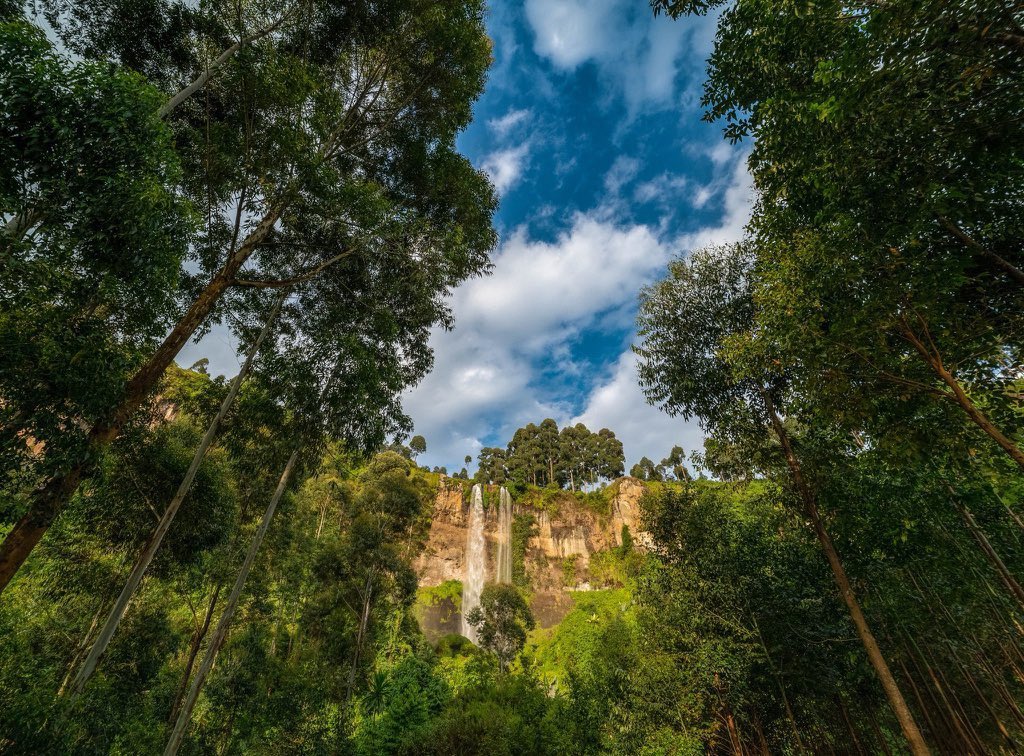 officialshiddy's tweet photo. 5 days to #WTD2026 🇺🇬

Mbale is calling home to Sipi Falls, rich culture, and unforgettable Eastern Uganda vibes.

Come experience it.
📍 Mbale City | 🗓️ 27 Sept 2026

#ExploreUganda https://t.co/18c9CLoGzs