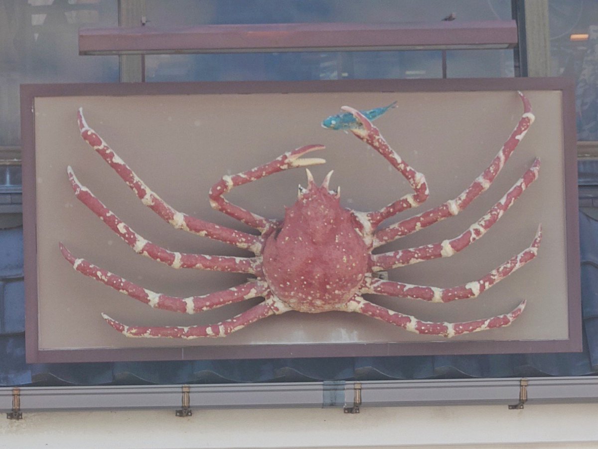 Taka_Sai's tweet photo. 「戸田タカアシガニ看板コレクション」（2/3）
– https://t.co/Ky75FoYME0