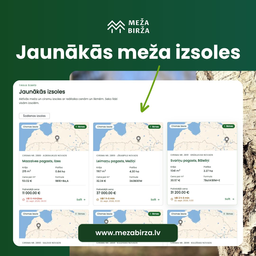 MezaBirza's tweet photo. Par kādām cenām šobrīd notiek meža cirsmas pārdošana? 🌲 https://t.co/shko86QWDF Seko līdzi tirgus aktivitātei un redzi, par kādām cenām šobrīd tiek pārdotas cirsmas atklātā izsolē. 
#mežs #mežsaimniecība #mežapārdošana #mežaizsoles #cirsmuizsoles #mežizstrāde https://t.co/zOD4dPFoVt