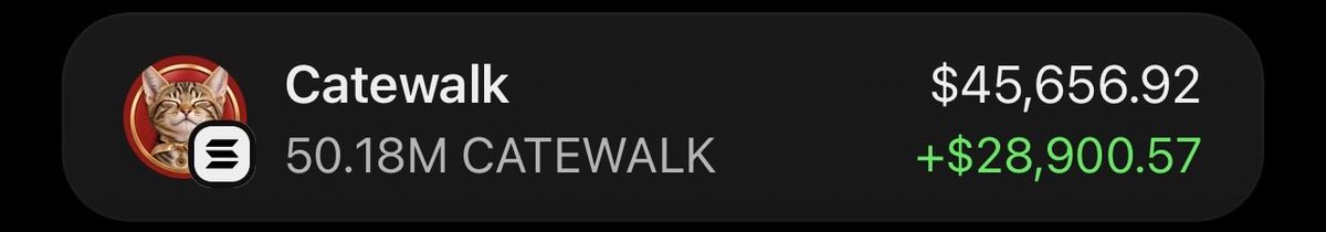 firepump_house's tweet photo. Profitable exit from my call on $CATEWALK 📈🔥
If you were in my GROUP, you would’ve caught the same move and secured the same profit.
#Catewalk #Memecoin #Solana https://t.co/H4tGXKYoT1