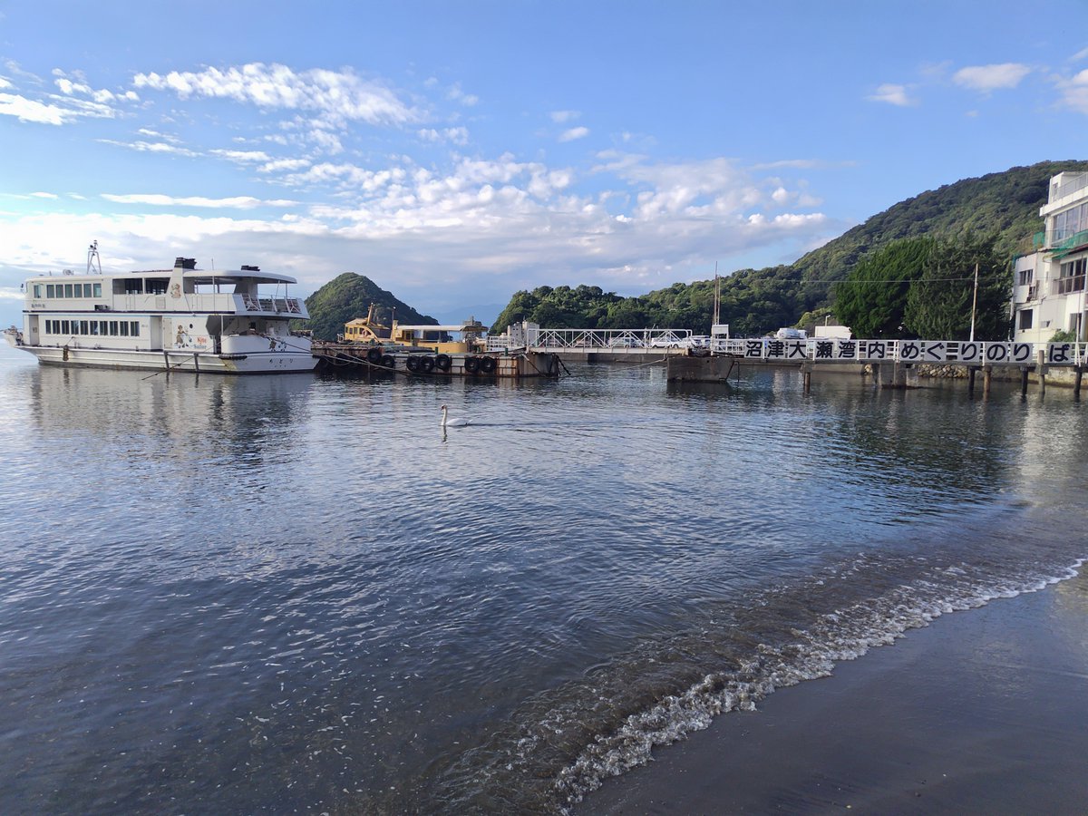 Den_XTREKriver's tweet photo. 今日も三津浜には白鳥がいました🦢 https://t.co/y975YZfdVR