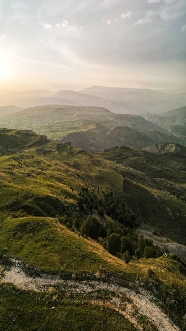 KyleWardafah's tweet photo. موجز التركيز. النجاح المقال ويركز على مباشرة أمام عينيك. joan cortez🌔 https://t.co/lFEbwcmXrP