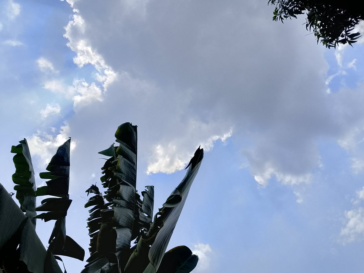 fakyeaw's tweet photo. My favorite pictures are these four photos of the sky, which I took myself. Looking at the sky always makes me feel calm and peaceful. 

I’d love to win the $100 because I’m saving up for a new phone. My current phone is really slow and keeps glitching, so this would help me a lot.

Thank you, @RealFish!