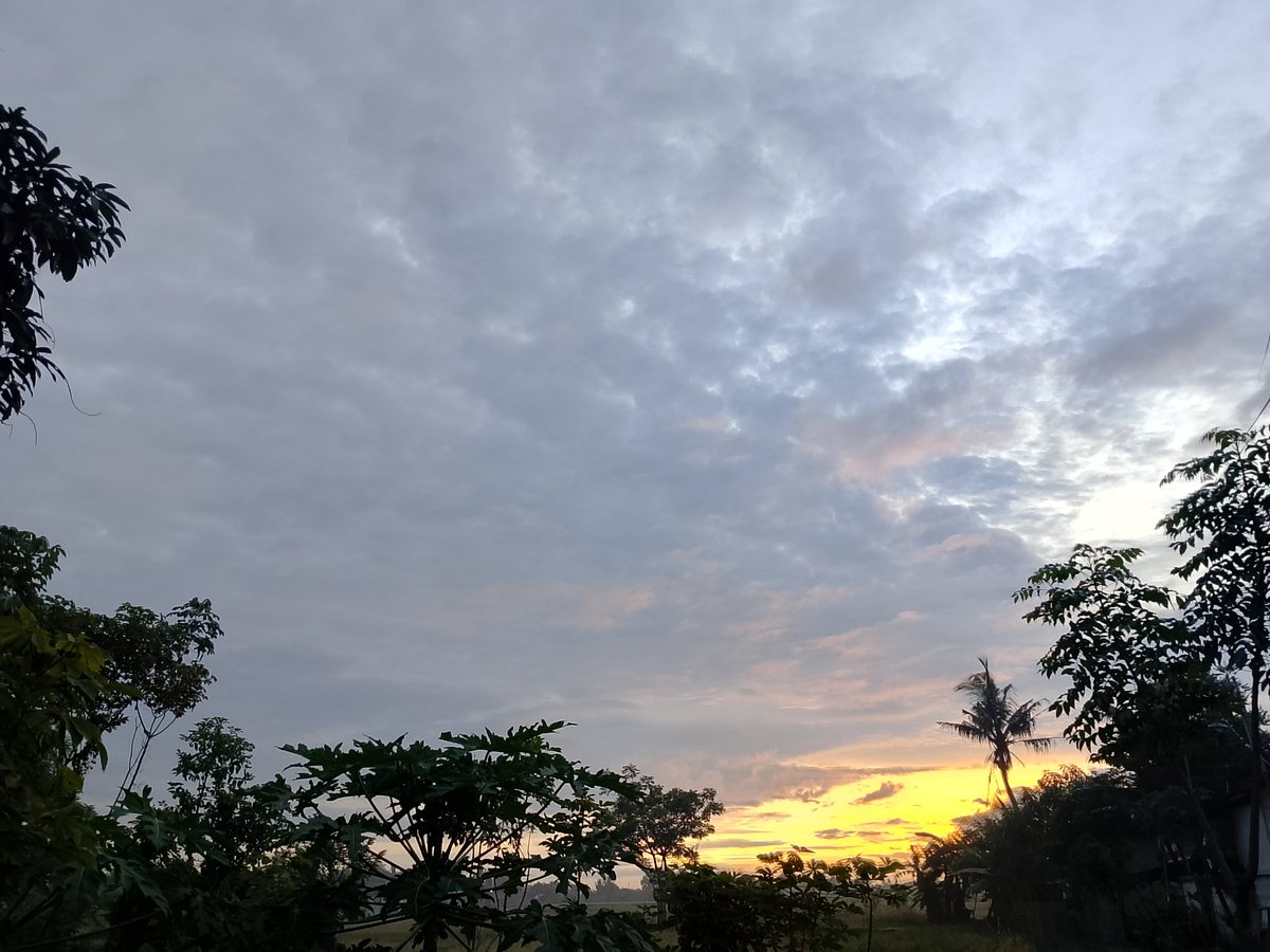 fakyeaw's tweet photo. My favorite pictures are these four photos of the sky, which I took myself. Looking at the sky always makes me feel calm and peaceful. 

I’d love to win the $100 because I’m saving up for a new phone. My current phone is really slow and keeps glitching, so this would help me a lot.

Thank you, @RealFish!
