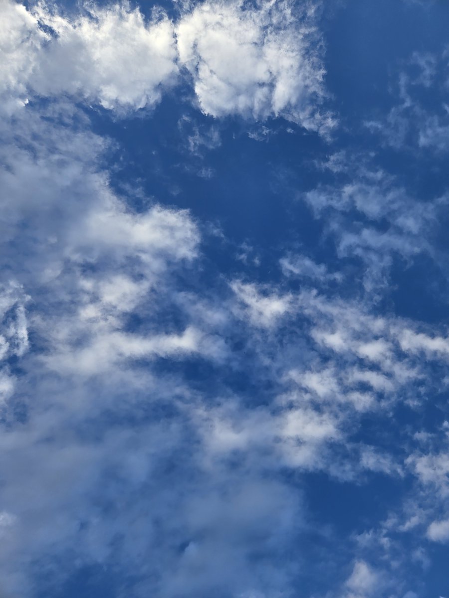 rosso___comet's tweet photo. ああ〜
青空になっちゃうよ https://t.co/mPgkWttyxi