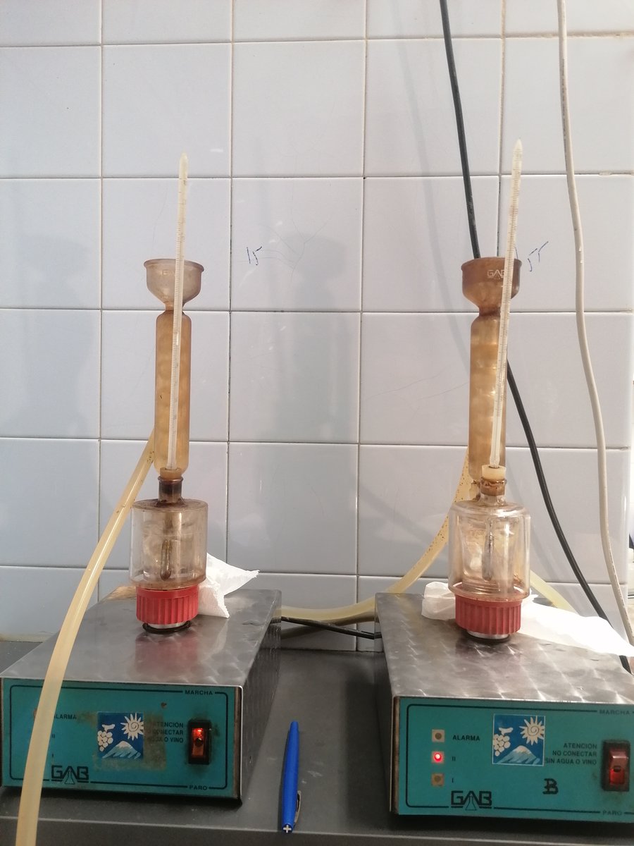 tacovin's tweet photo. Trajín de laboratorio: análisis de uvas y mostos
¡Buenas vibraciones!🍇

La contraetiqueta es el DNI de nuestros vinos🍷
Tacoronte-Acentejo, tu vino tu comarca. #winelover #vino #wine #Km0  #cultura #TacoronteAcentejo #vinosdetenerife #movimientovinodo #sostenibilidad #vendimia https://t.co/DMRrexsJAn