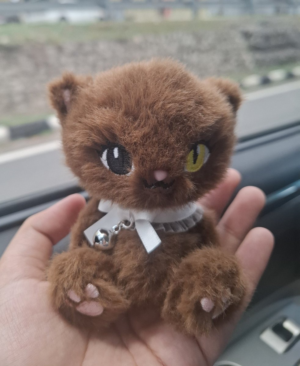 debsluvmeovv's tweet photo. If u guys r still considerig to buy this kitty plush, no need to think😇😇just buy it bruh it's so cute i bring it everywhere, it's a lucky charm https://t.co/tT3h5u6uoi