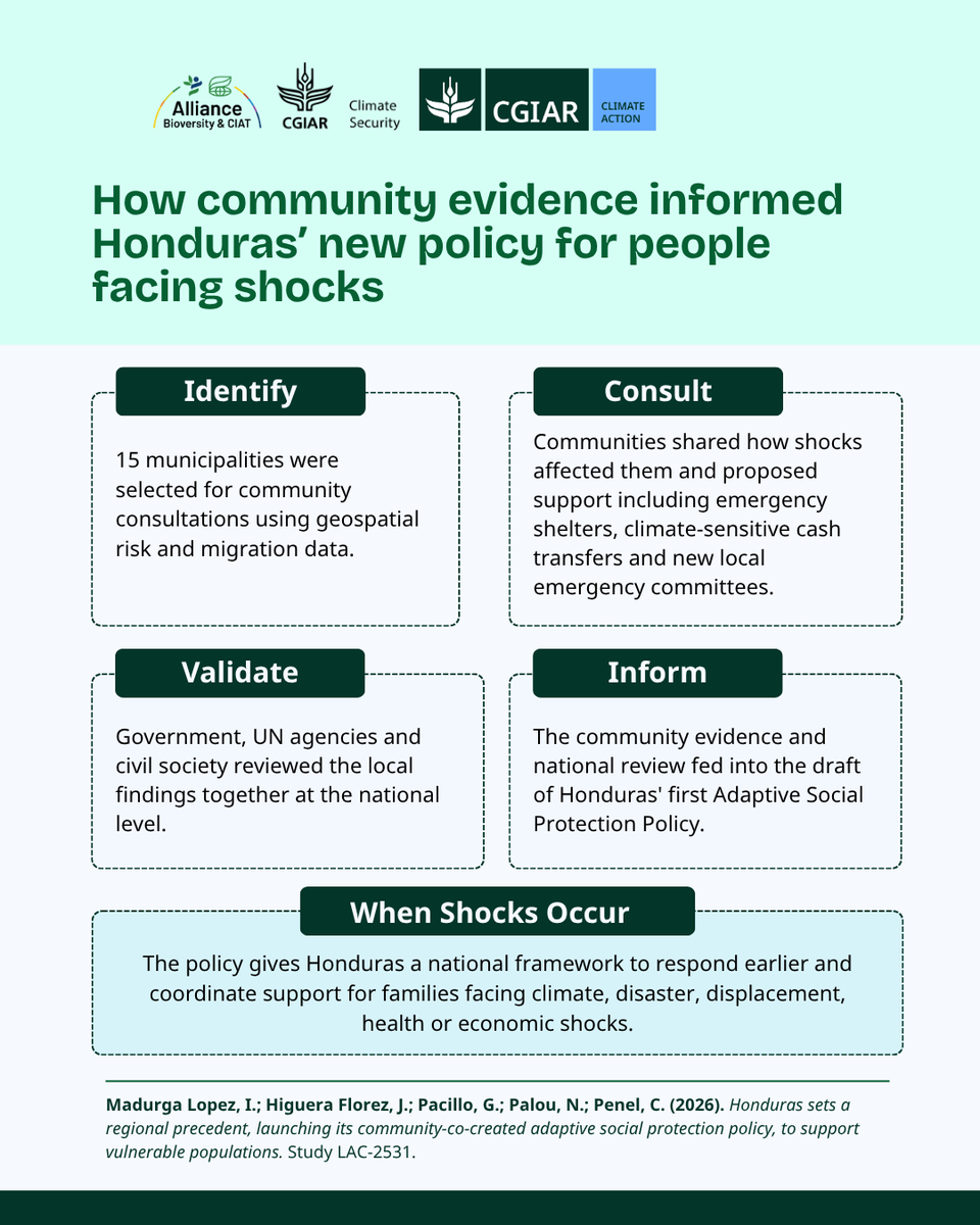 CGIARclimate's tweet photo. What changes when communities help shape policy before it is finalised?

In Honduras, local consultations across 15 high-vulnerability municipalities helped inform the country’s first Adaptive Social Protection Policy.

Read the report: https://t.co/UPLD5x0lsC https://t.co/m4GXO4KVck