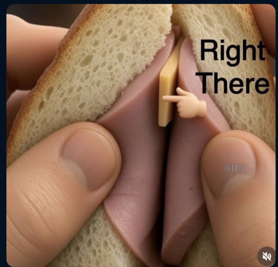 kiri_memes's tweet photo. This the last time I’m teaching how to eat a sandwich; https://t.co/fI0dWHTBrP