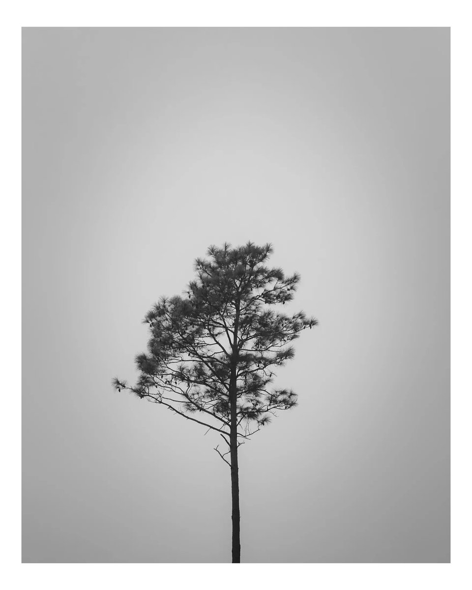 BobbyReedqptr's tweet photo. it will never come in a straight line, with its ups and downs, lefts and rights, right to left, and like energy, it cannot be created nor truly destroyed. https://t.co/E2nLOfN8S4