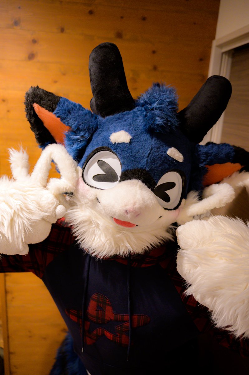 Parisian621's tweet photo. #FursuitEveryday 
#避暑地オフ
✨（＞ω＜）✨ https://t.co/VSEUamhbei