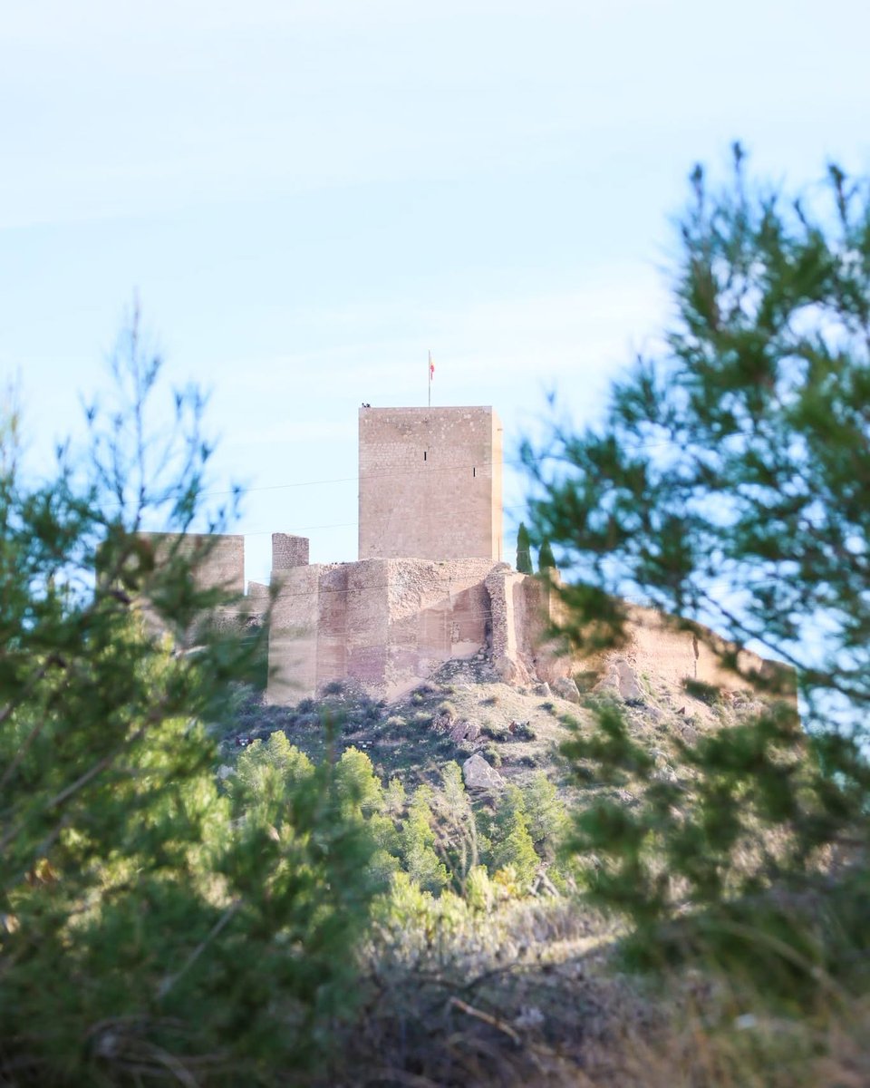 lorcaturismo_es's tweet photo. 🏰 Sube a la Torre del Espolón y contempla el antiguo Reino de Lorca desde lo más alto.

⚔️ Historia, emoción y vistas únicas en una experiencia que no olvidarás.
📅 ¡Reserva ya! 👉 https://t.co/66XuqvRLJT

#VisitLorca #TorreDelEspolón #CastillosDeEspaña https://t.co/ZAttLext1X