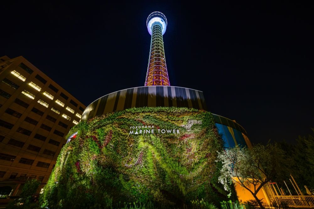 DestinaHotels's tweet photo. ニューグランドはジブリ映画『コクリコ坂から』でも登場する。海と俊が山下公園を歩くシーンで「HOTEL NEW GRAND」の文字が大きく表示された場面に歓喜したホテルファンも多いはず笑

徒歩5分圏内にはチャップリンも乗船した客船「氷川丸」や、かつての世界一高い灯台「マリンタワー」があるので是非！ https://t.co/63e4z7WyYS