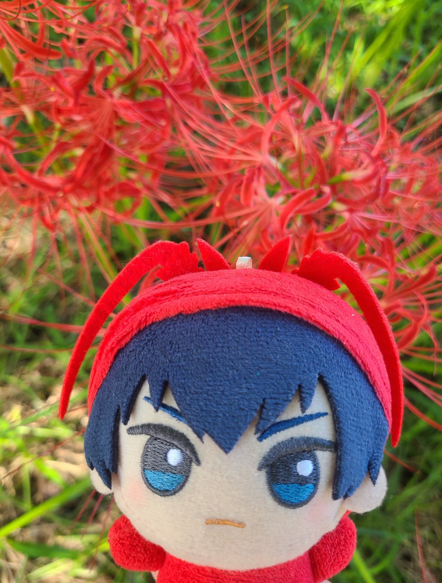 moon_drop2's tweet photo. 🦐「ぬっぬぬぅ～✨✨✨(お花を見に来たぬ～！我と同じ赤がめちゃ綺麗ぬ😆︎天気も最高で最高ぬ✌️)」 https://t.co/X51sxJZbsW