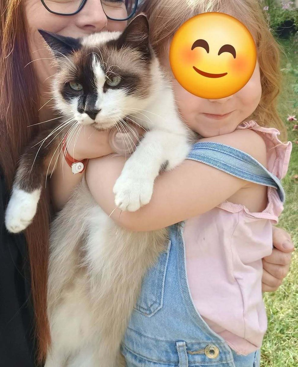 vigipets's tweet photo. 🟠 🐱 Chat perdu le 14/09/2026 à Lanvollon (22290).
Race : Siamois / Âge : 9 an(s)
Oscar / Mâle / Identifié(e) : Non
☎️ 0630319356
📧 anto.calvez@yahoo.fr
#chatperdu #chattrouve #chat #perdu #trouve https://t.co/H2JnplFNB3