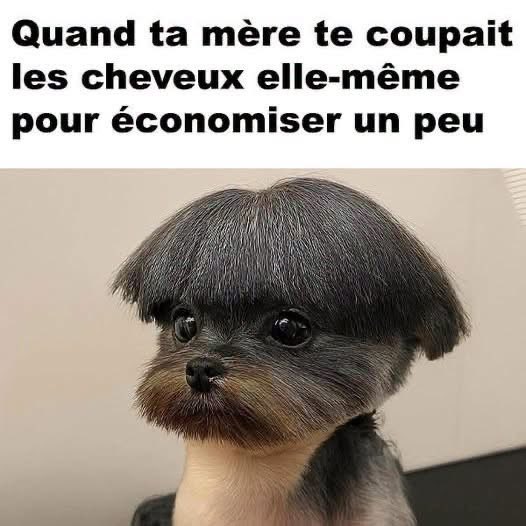 DelaportePasca4's tweet photo. https://t.co/VXof7omCRl