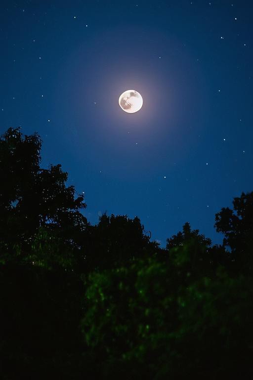 HyunTopiwnty's tweet photo. Noche de camping con amigos: fuego crujiendo, cielos llenos de estrellas y risas que duran toda la noche. La mejor conexión con la naturaleza y entre nosotros!， https://t.co/KhVv2y755l