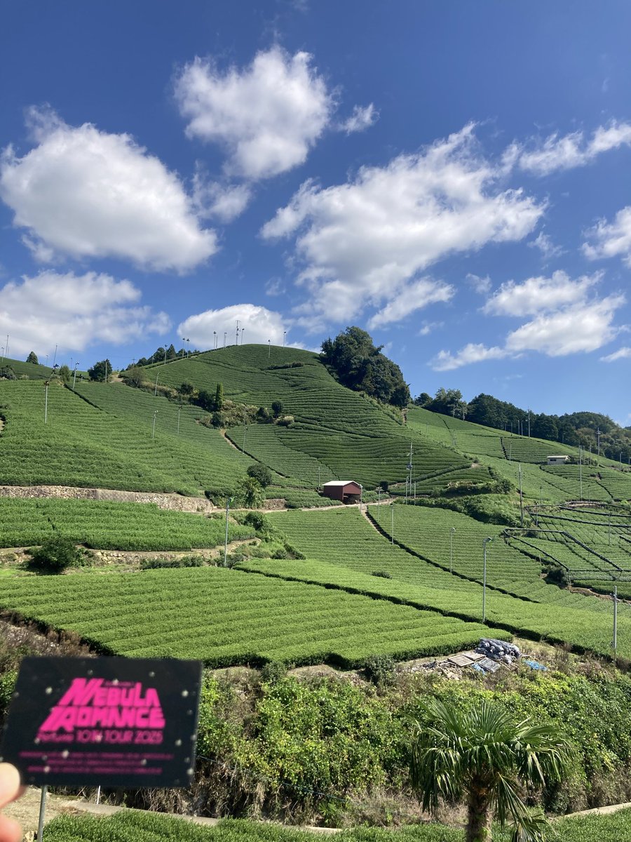af7537cfm's tweet photo. 宇治の隣の和束茶の茶畑の中にあるダンダンカフェ。　抹茶の旨み最高でした。 https://t.co/e8RFdmbzRR