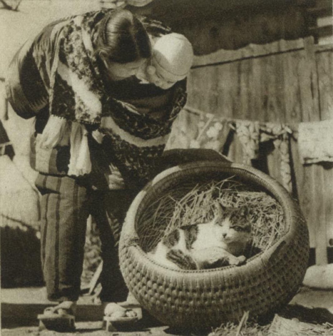 bazkosume's tweet photo. 約90年前にも、猫は人間の寝床を奪っていた。 https://t.co/f7gOKQ6d11