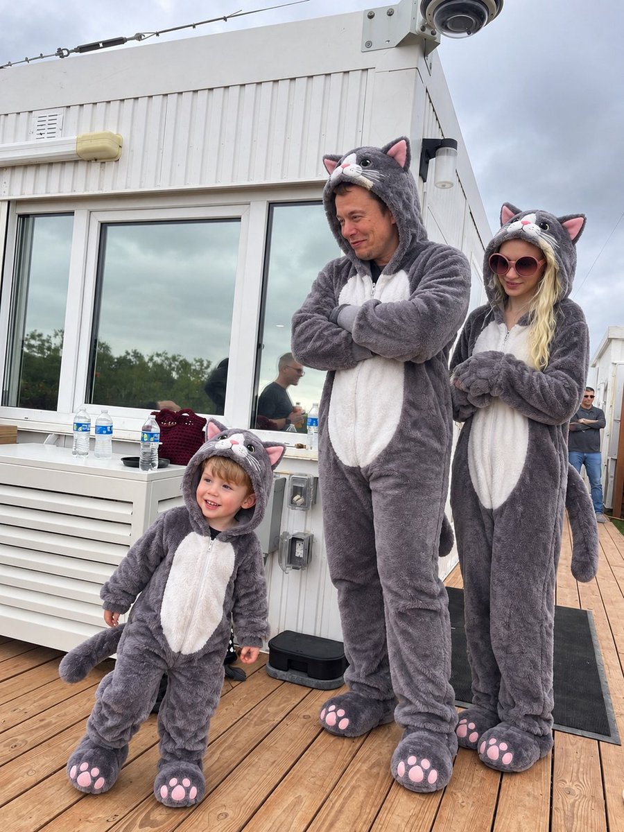 therocketman088's tweet photo. Cat mode: officially activated! 🐱😎😂

Just a little family fun, a little cat energy, and plenty of laughs! 🐾

A. I’d follow this cool cat because they all look good and cute! 🥰

B. Sorry, I’m not joining the cat club! 😂 https://t.co/D8EgPczjrp