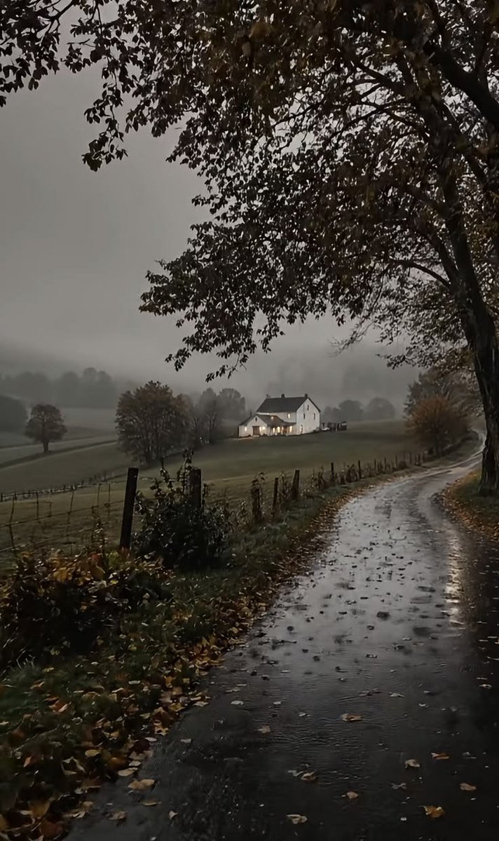 natureaest's tweet photo. i was born to like this kind of weather https://t.co/Cl7pkzzJMW