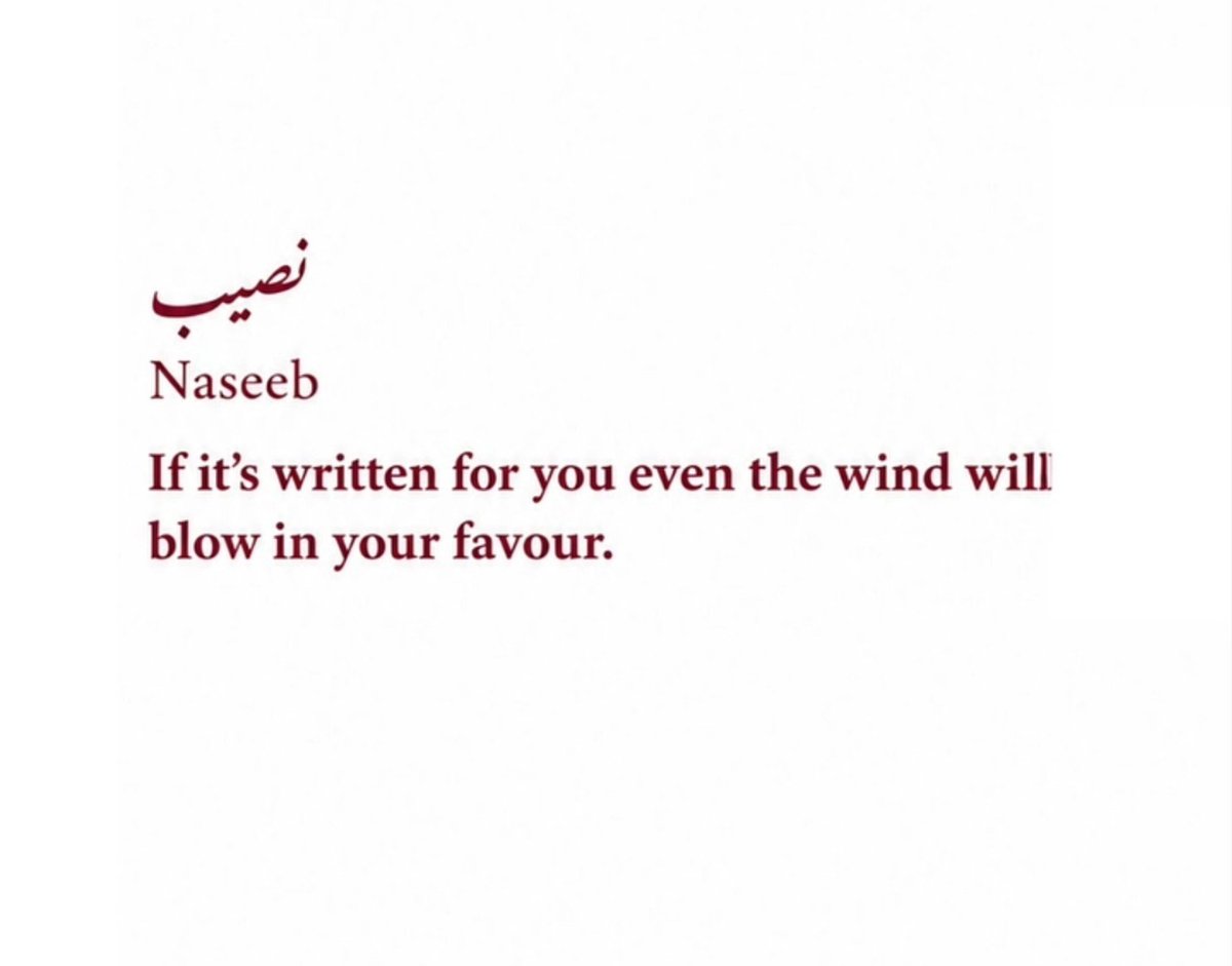 NotYourMiah's tweet photo. https://t.co/AweFSz0aAk