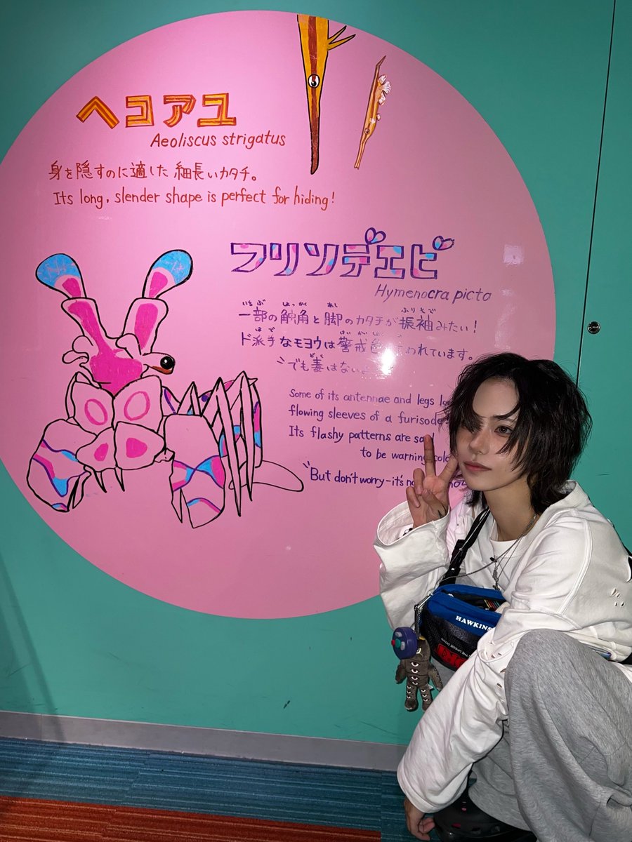 DeathCandy_yuui's tweet photo. 🦐🦐🦐 https://t.co/2Odr2LrTpN