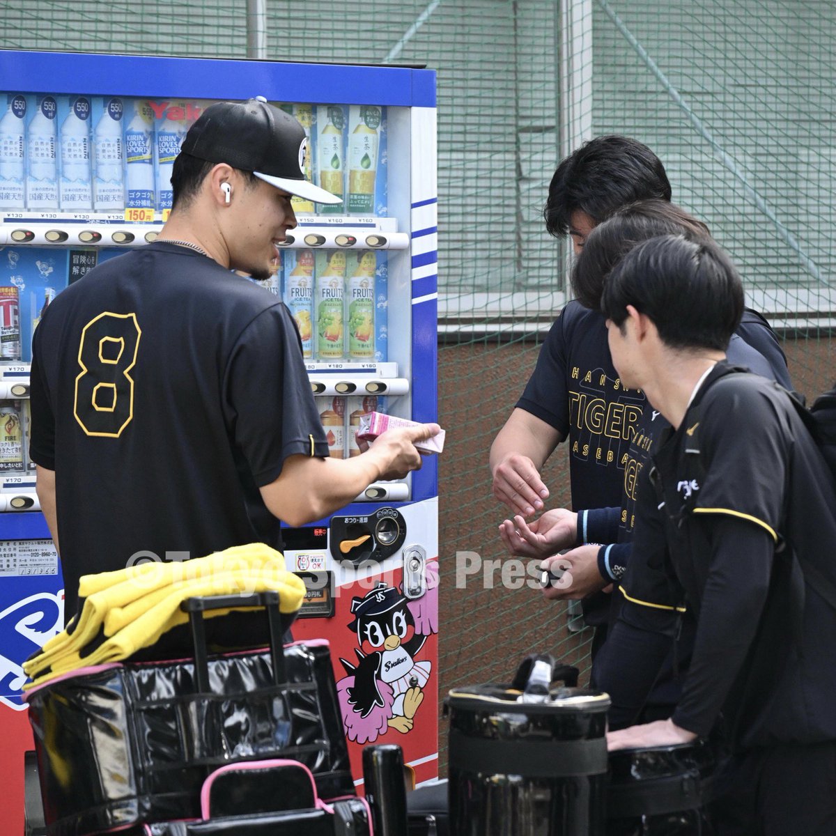 tospophoto's tweet photo. 【プロ野球】2026/09/22
ヤクルト × #阪神 

「いちごオレ」と #佐藤輝明 

#阪神タイガース #tigers https://t.co/3PjaT0IPma