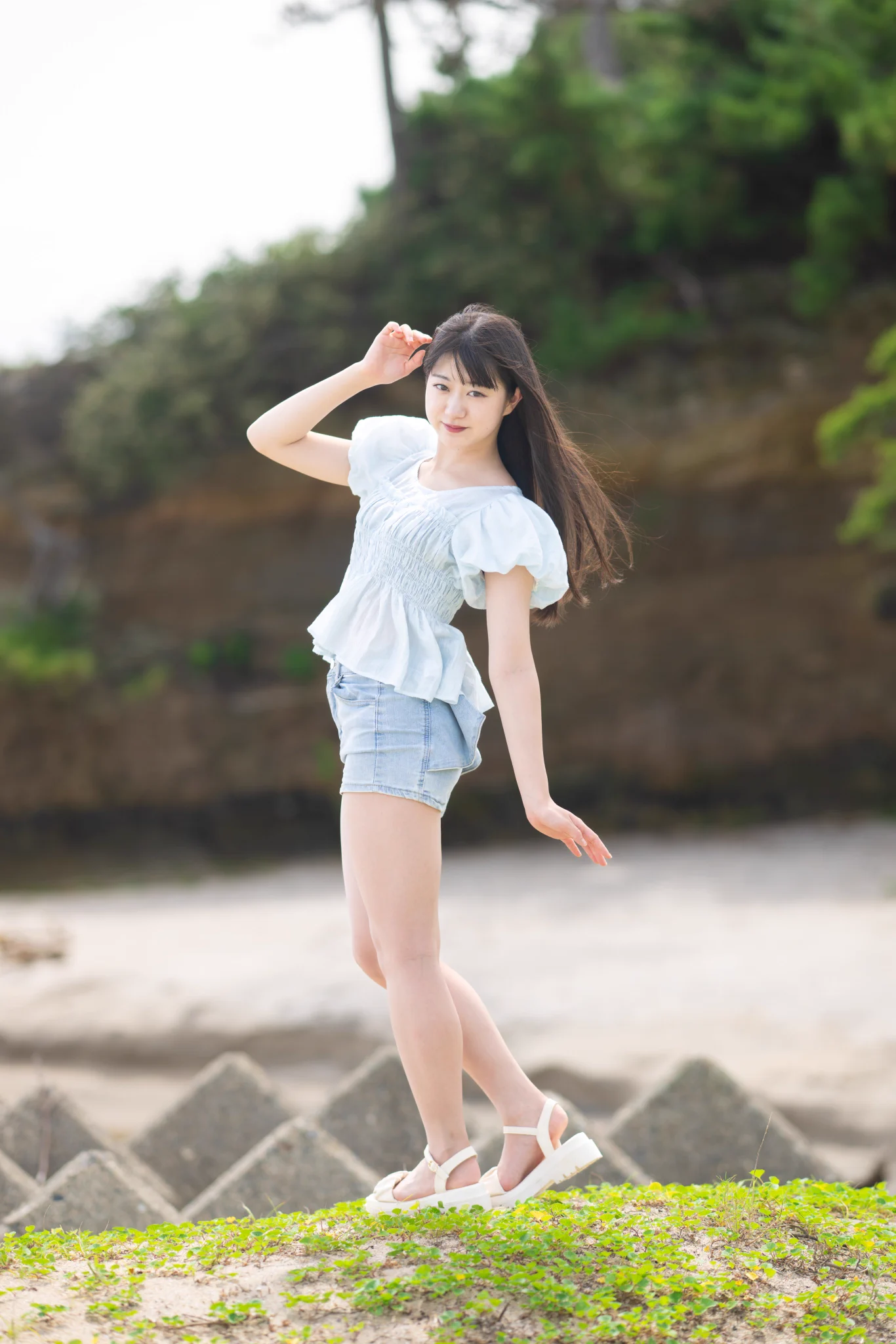 とらちゃん on X: 