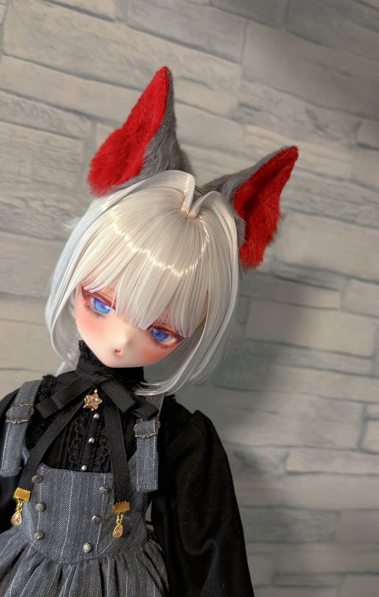 suzuya_work's tweet photo. キツネ、狼みみ作る時は少し毛をカットしようかなと〜！
イヤリングとかクリップとかも毛に埋もれず付けやすくなるかも🤔 https://t.co/n7VHri2rpd